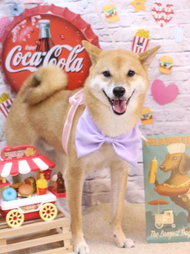 20230913シュウくん